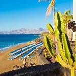 Aruba فيلة *
